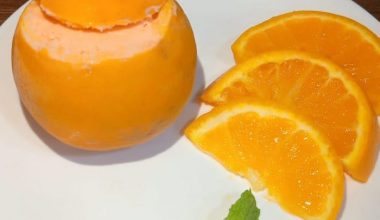 Natural Orange Ice Cream in shell