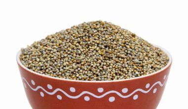 Unpolished pearl millet (Kambu)